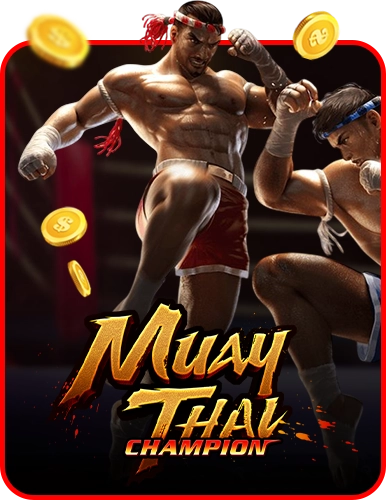 Muay Thai Champion