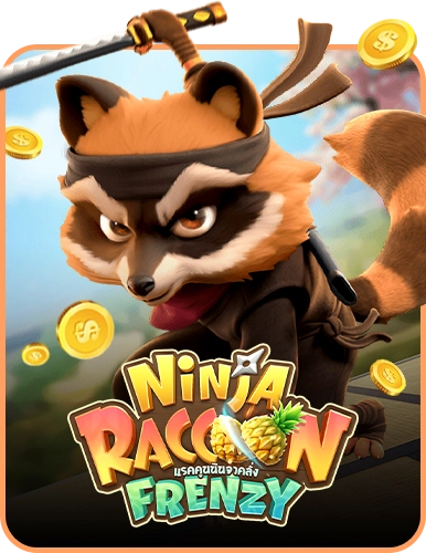 Ninja Raccoon Frenzy